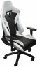 Компьютерное кресло ThunderX3 TC3 игровое, обивка: искусственная кожа, цвет: Arctic White